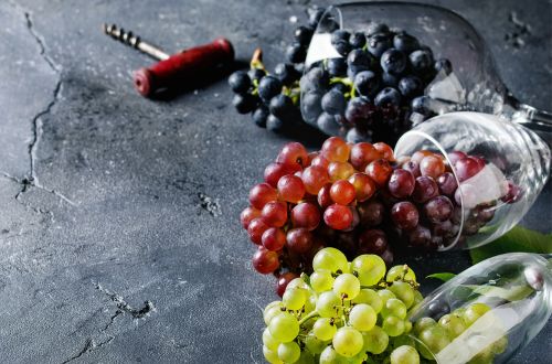Facts About Washington State Wines A Palette of Diversity