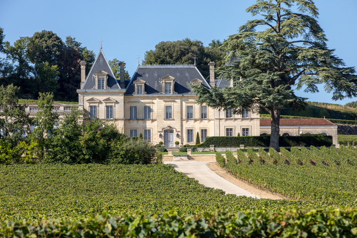 Vineyard of Chateau Fonplegade, St Emilion, France for article What is Bordeaux-Style Wine at Silvara Cellars