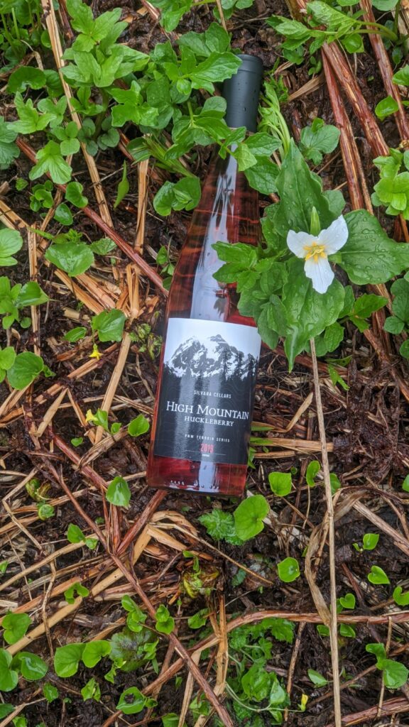 Silvara's High Mountain Huckleberry Rose Discover the Best 5 Easy Hikes Near Leavenworth, WA