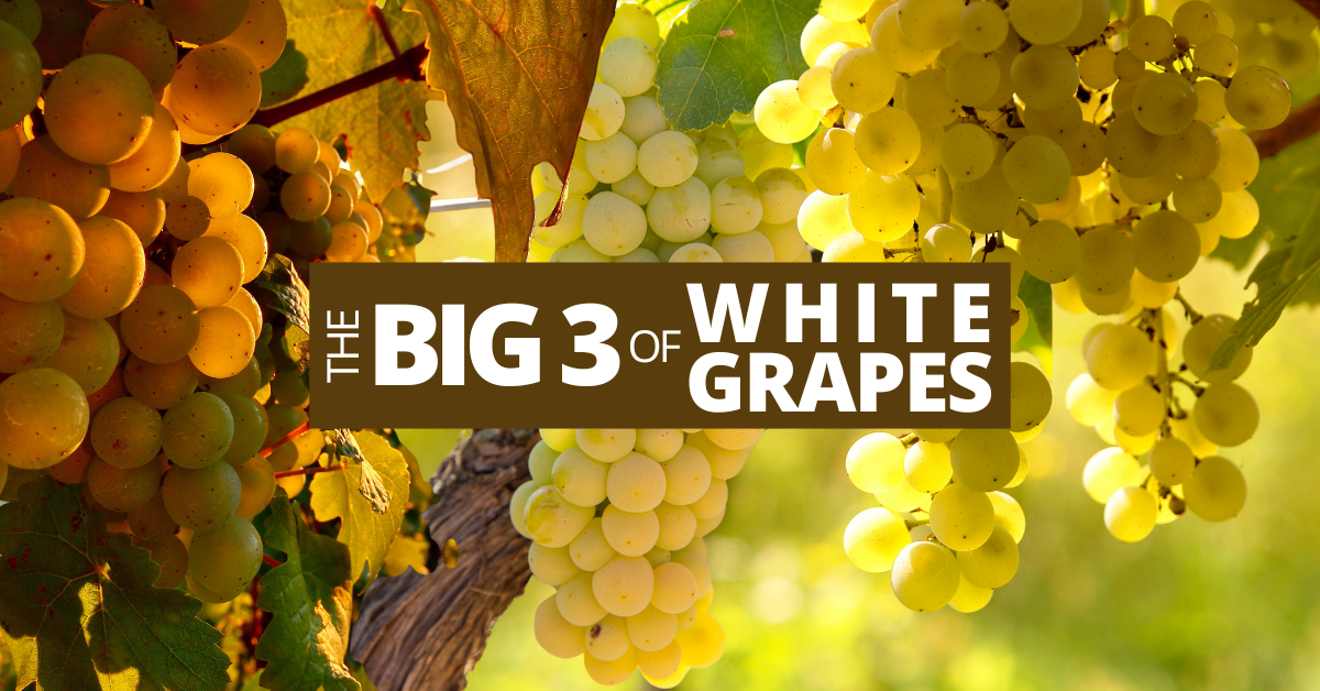 The Big Three: Discovering the World's Most Captivating White Grapes