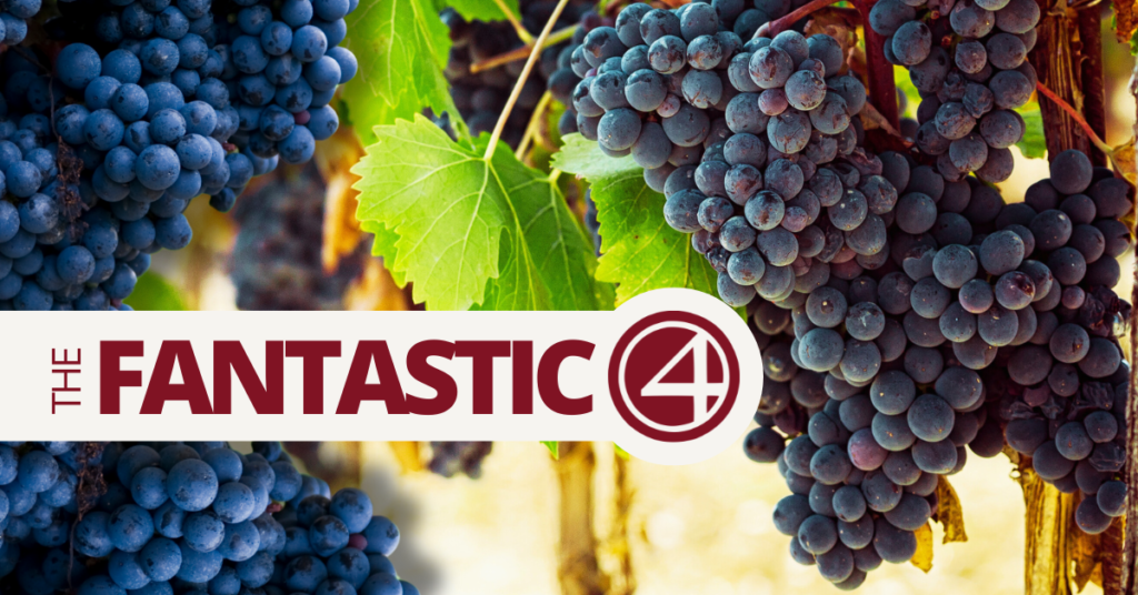 Exploring the Fantastic 4 of Red Grapes A Journey into the World of Red Wine